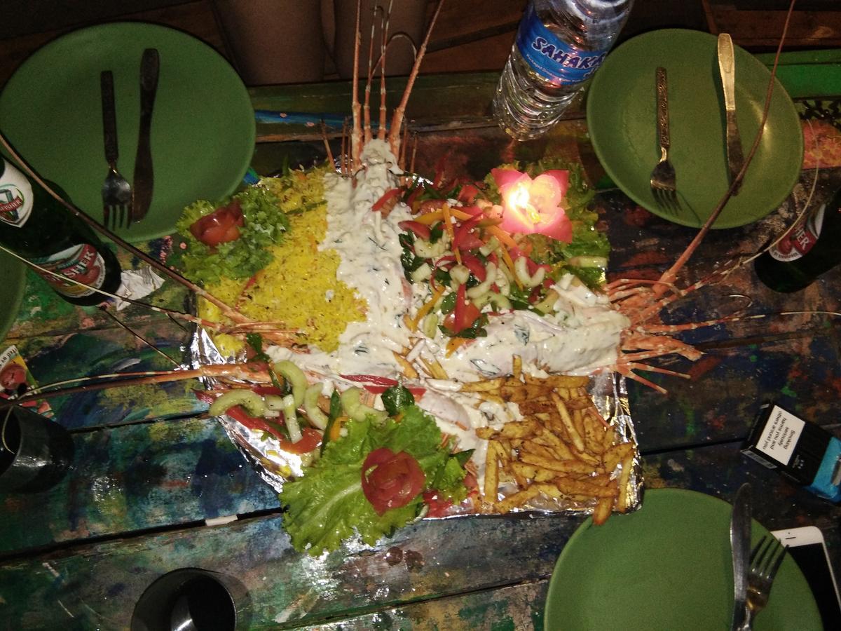 Rasta Mansion Beach Hostel And Rooms Arambol Εξωτερικό φωτογραφία